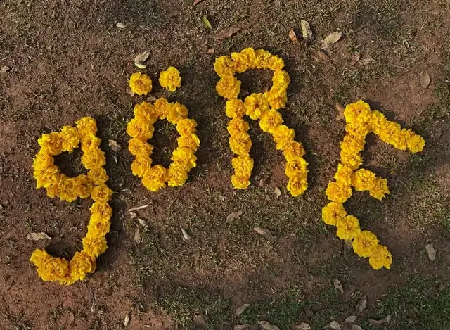 The word göRE laid out in yellow flowers on the ground